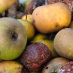 Crescono gli sprechi, ma attenzione a puntare il dito contro le offerte