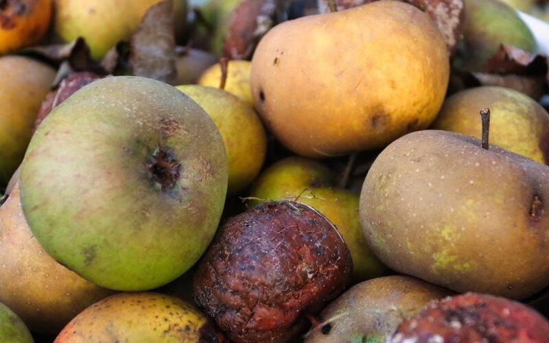 Crescono gli sprechi, ma attenzione a puntare il dito contro le offerte