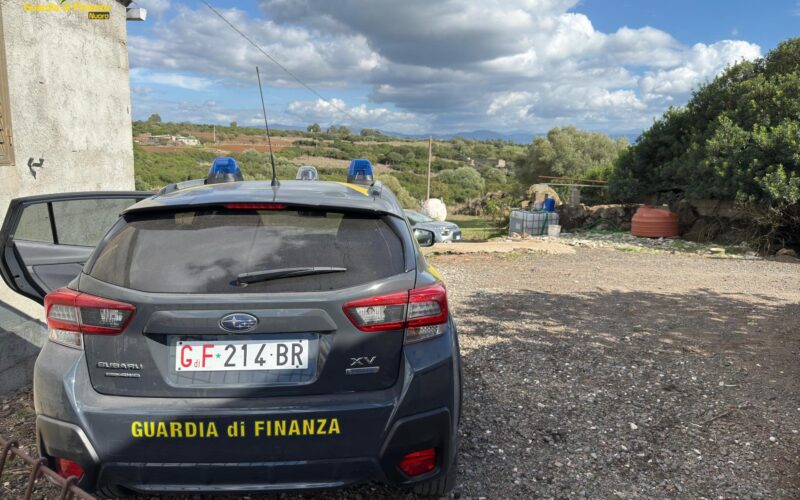 Gdf Nuoro, smantellata raffineria di marijuana a Sedilo