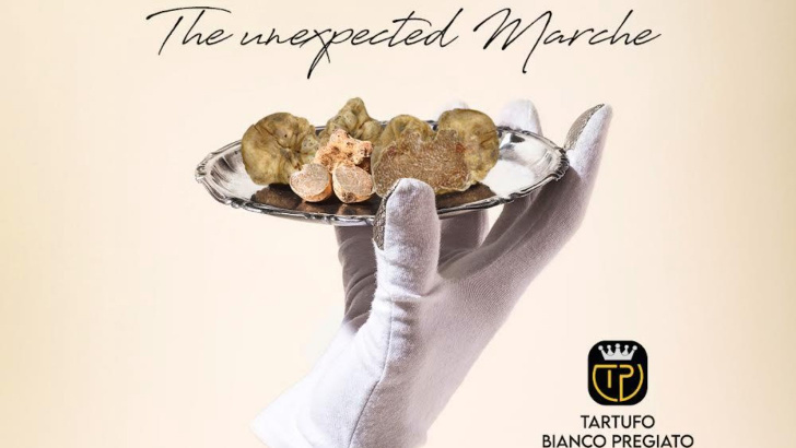 Torna fiera del Tartufo Bianco di Pergola, dal 6 ottobre per tre domeniche