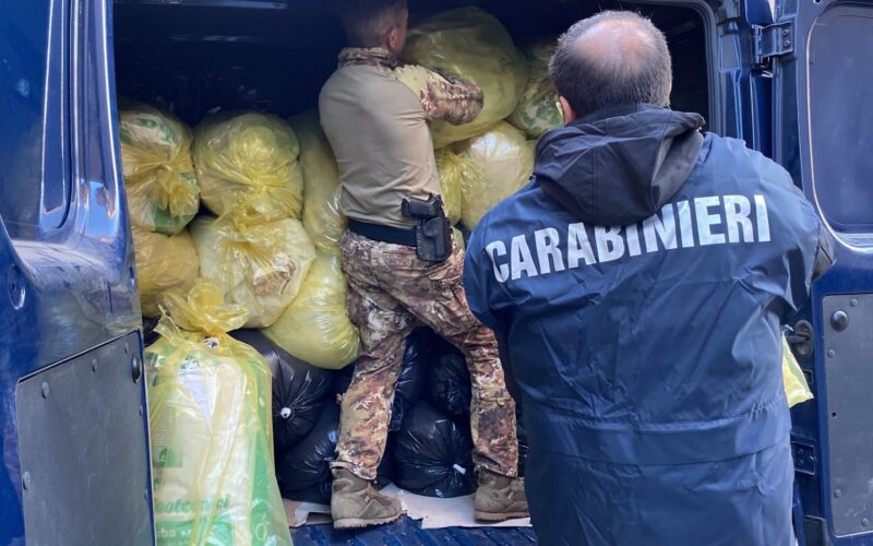 Sarule (NU): Arrestato 37enne per quasi 4 tonnellate di marijuana