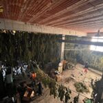 Gdf Nuoro, una tonnellata e mezzo di droga sequestrata a Lodine