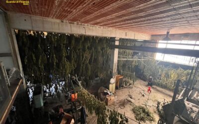 Gdf Nuoro, una tonnellata e mezzo di droga sequestrata a Lodine