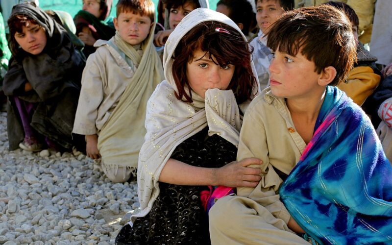 Mortalità infantile nelle famiglie immigrate superiore del 60%