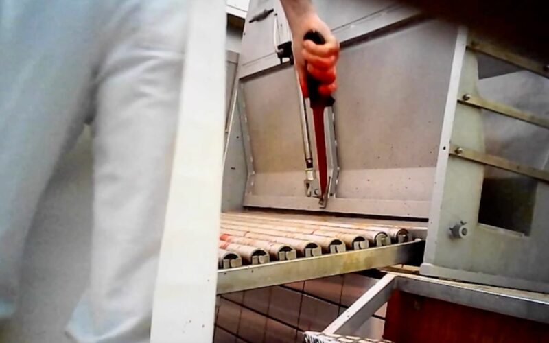 Sgozzati ancora coscienti: Animal Equality rivela le atrocità