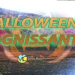 Possibile peggioramento invernale per il Ponte di Ognissanti