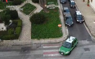 Sequestrati 16 soggetti e 6 aziende per traffico illecito di rifiuti