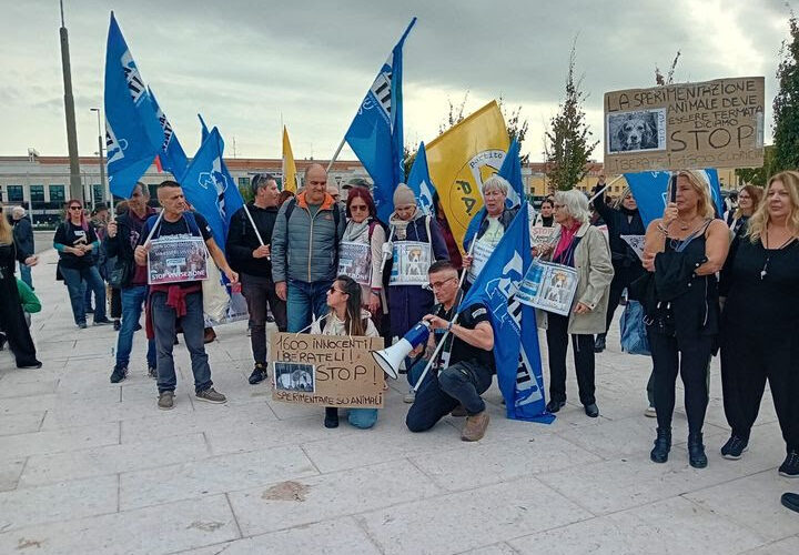 Sit-in il 21 novembre a Roma per difendere i beagle