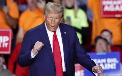 Elezioni Usa 2024, Fox: "Trump eletto presidente"