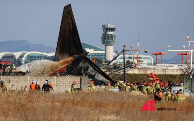 Incidente aereo [Video] in Corea del Sud: si ipotizza un bird strike fatale