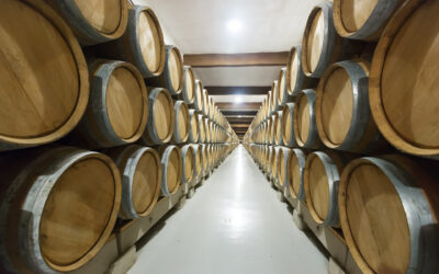 I Premi Speciali della Guida Cantine d'Italia 2025