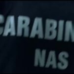 Truffe assicurative: operazione dei Carabinieri a Caserta