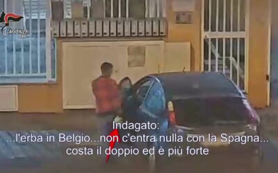Traffico internazionale di stupefacenti per un volume d’affari di oltre 7 milioni di euro