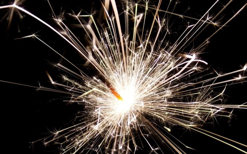 Capodanno: il lavoro degli artificieri della Polizia di Stato