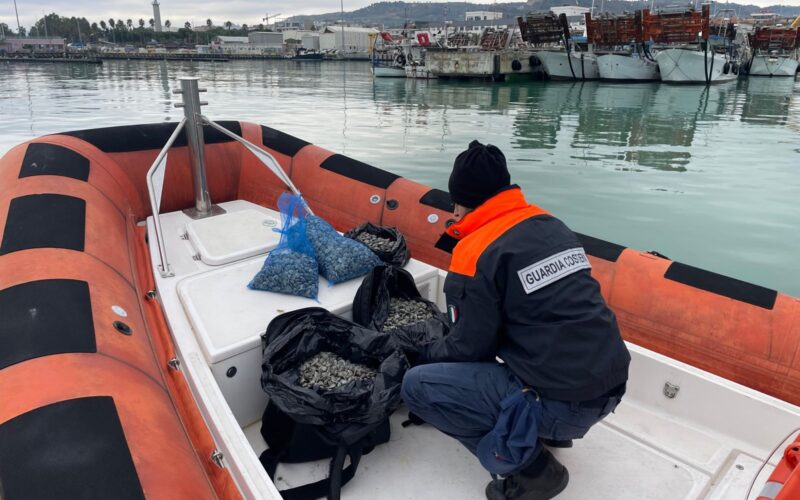 Guardia Costiera sequestra 200 tonnellate di pesce, 746 illeciti