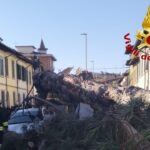 Albero monumentale si schianta in un giardino pubblico, blackout notturno 