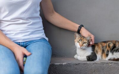 Inizia la campagna "Adotta un Nonno": un gesto d'amore