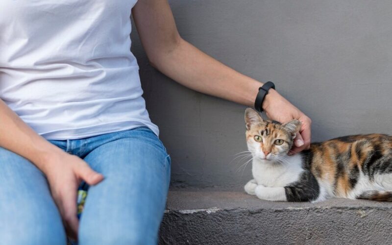 Inizia la campagna “Adotta un Nonno”: un gesto d’amore per i nostri amici a quattro zampe