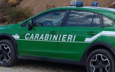 Corruzione nelle gare di manutenzione fluviale: chiuse indagini