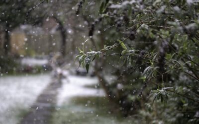 Perturbazione in arrivo: piogge e neve nel weekend