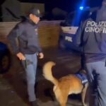 Anzio, polizia di stato neutralizza Hub criminoso "ibrido"