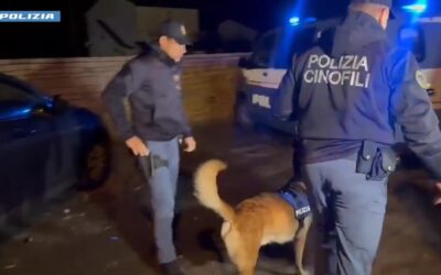 Anzio, polizia di stato neutralizza Hub criminoso "ibrido"