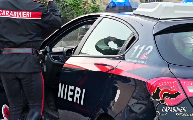 Arsenale nascosto rinvenuto dai Carabinieri a Gioia Tauro