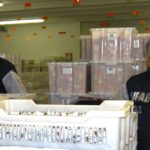 Controlli sulla sicurezza alimentare a Bologna: focus sulle pietanze