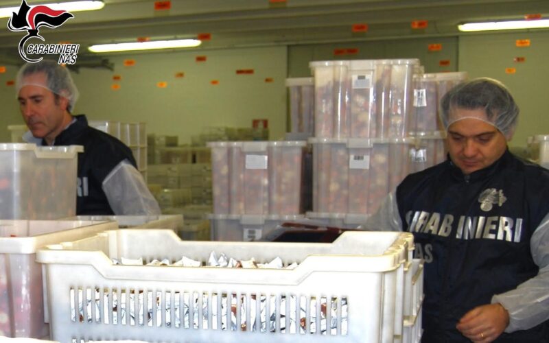 Controlli sulla sicurezza alimentare a Bologna: focus sulle pietanze