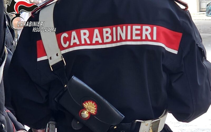 Ritrovata droga ed esplosivi in una stanza segreta [VIDEO]