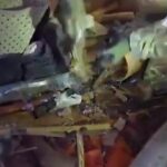 Maxi-sequestro a Polistena: scoperto arsenale criminale