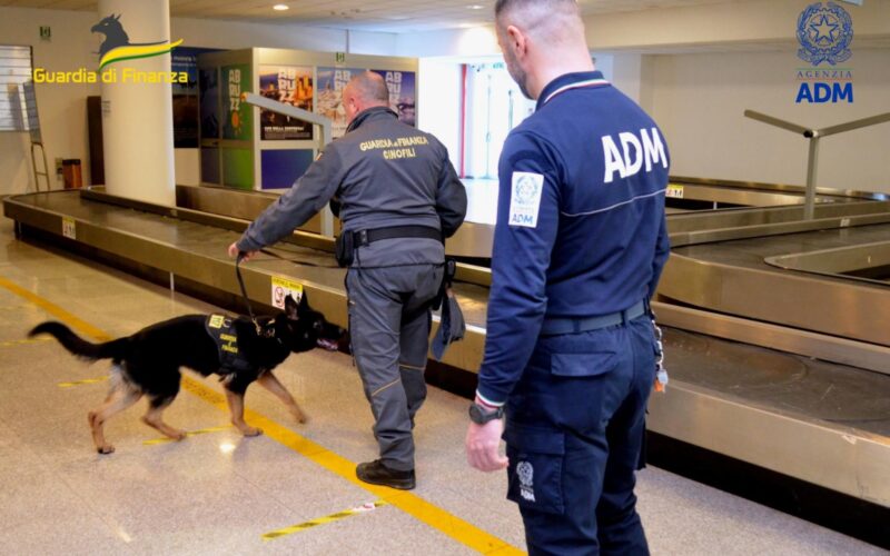 Sequestrata marijuana all’Aeroporto d’Abruzzo