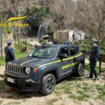 Contrasto agli Illeciti Alimentari