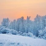 Gelo Artico in Arrivo nel Midwest degli Stati Uniti