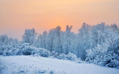 Gelo Artico in Arrivo nel Midwest degli Stati Uniti
