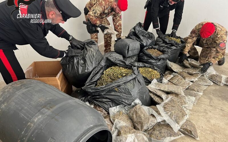 Un intero stock di marijuana nascosto in casa nella locride
