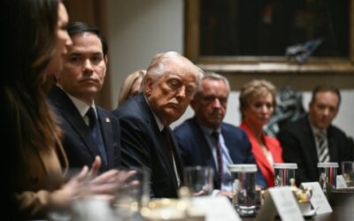 Ucraina, Trump: "Parliamo di centrale di Zaporizhzhia, presto accordo per terre rare"
