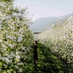 La stagione dei fiori e dei colori nella regione di Lana