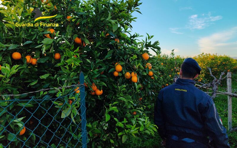 Arrestato a Palagonia di Catania per caporalato