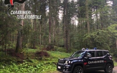 Giornata Internazionale Foreste: Carabinieri Forestali prima linea