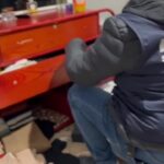 Operazione contro banda specializzata in furti in abitazione