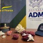 Coralli sequestrati all'aeroporto di Bari: operazione congiunta