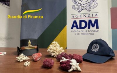 Coralli sequestrati all'aeroporto di Bari: operazione congiunta