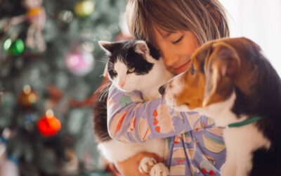 Sblocco del bonus per animali domestici: Ma resta il divario