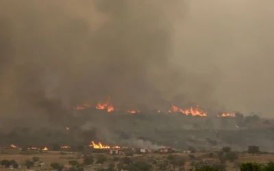 Israele, incendi devastano il Paese: indagini su Hamas