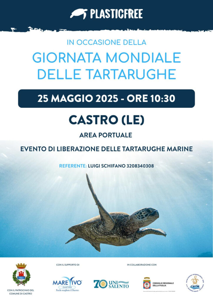 Giornata mondiale delle tartarughe: domenica 25 maggio