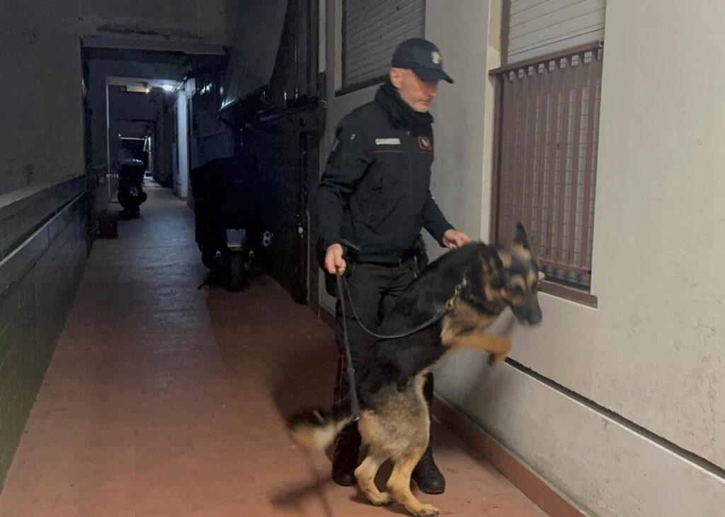 Operazione antidroga, 13 arresti tra Roma e Guidonia