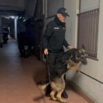 Operazione antidroga, 13 arresti tra Roma e Guidonia