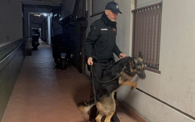 Operazione antidroga [FOTO & VIDEO], 13 arresti tra Roma e Guidonia