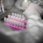 Variante Nimbus, contagiosità elevata ma meno aggressiva